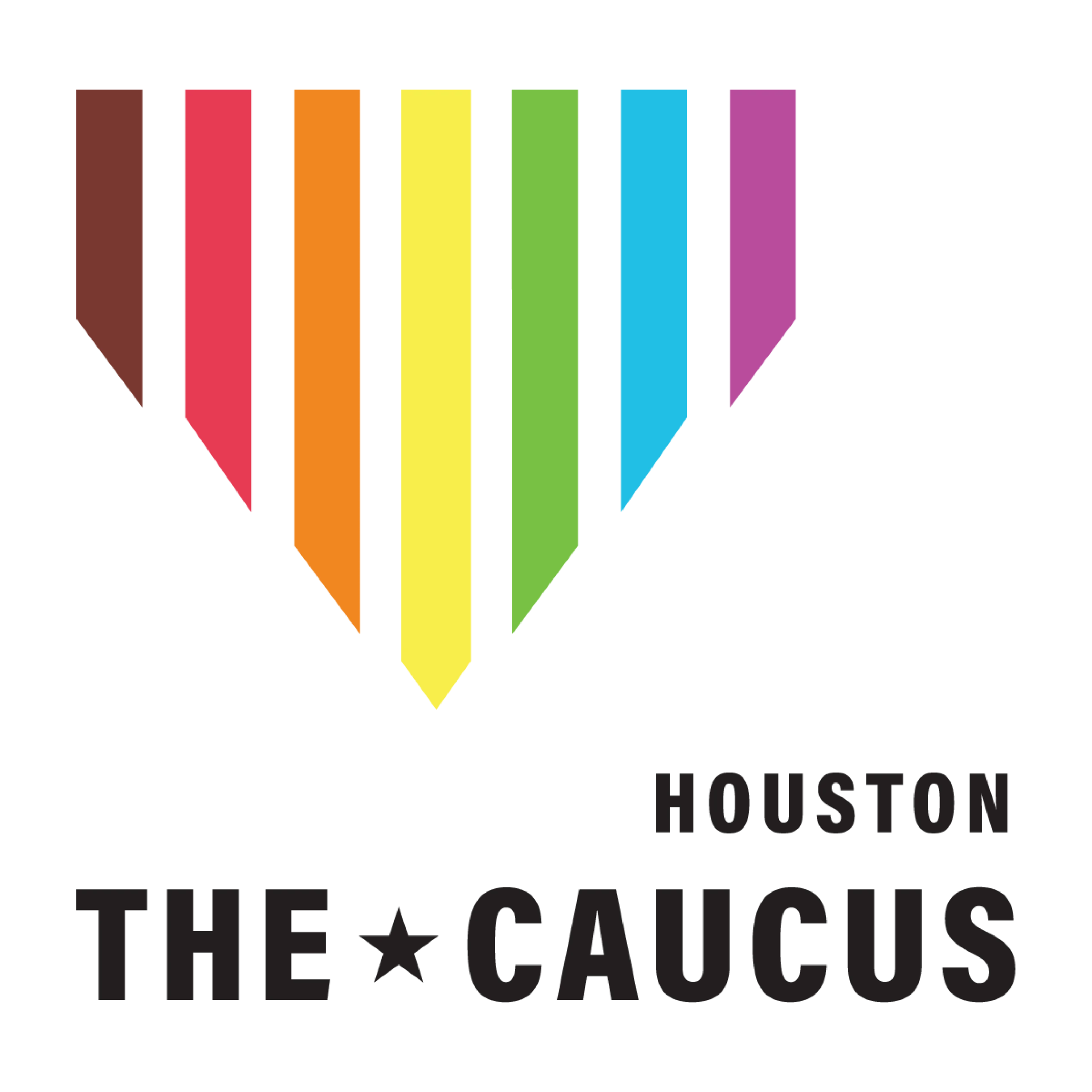 JCENDOR00001 Julie Countiss endorsement graphic featuring the Houston CAUCUS logo and text, encouraging support for her